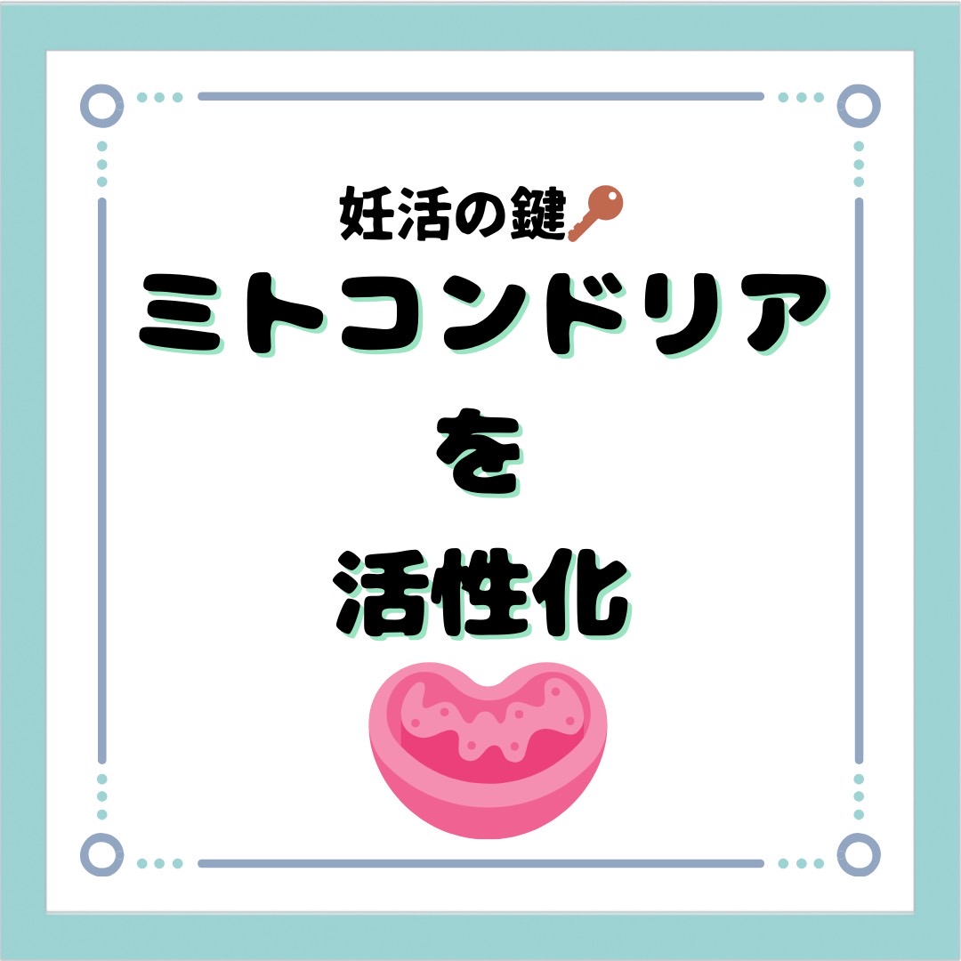 line_oa_chat_240109_170719.jpg
